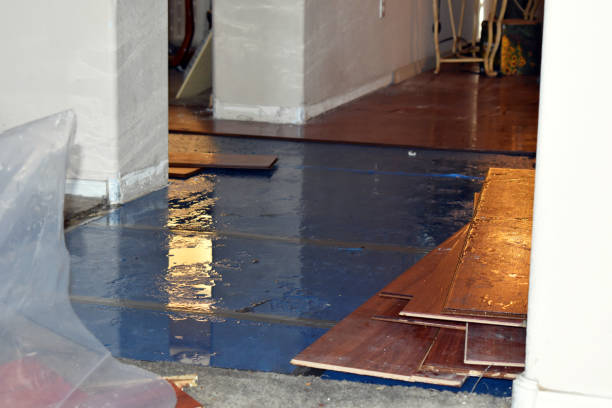 Professional Basement Flood Cleanup technician working in Laurel, IN